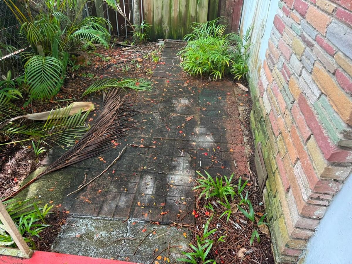 Brick walkway covered in moss and debris before pressure washing